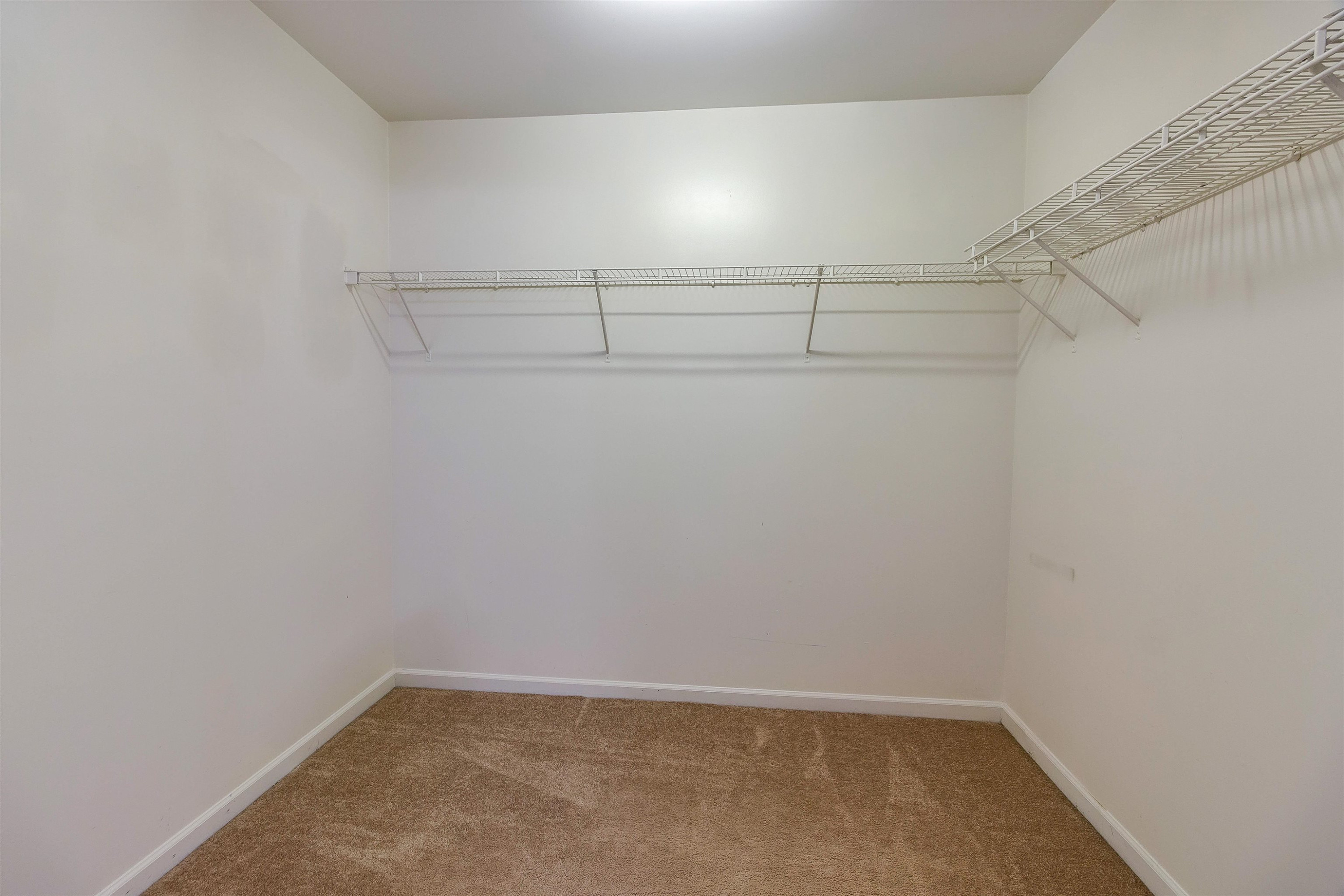 2824 Roundleaf Court Raleigh, NC 27604 - Photo 27 of 40 Owners closet