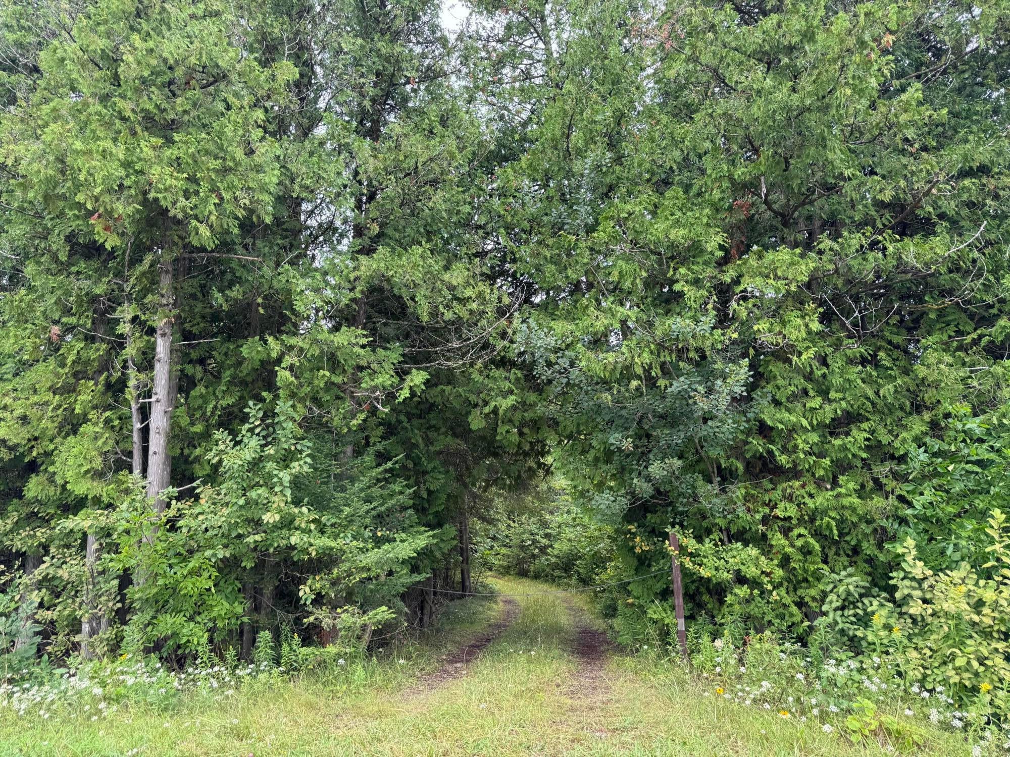Lot 1 Pte La Barbe Rd Street St. Ignace, MI 49781 - Photo 5 of 13 Gallery Image 5