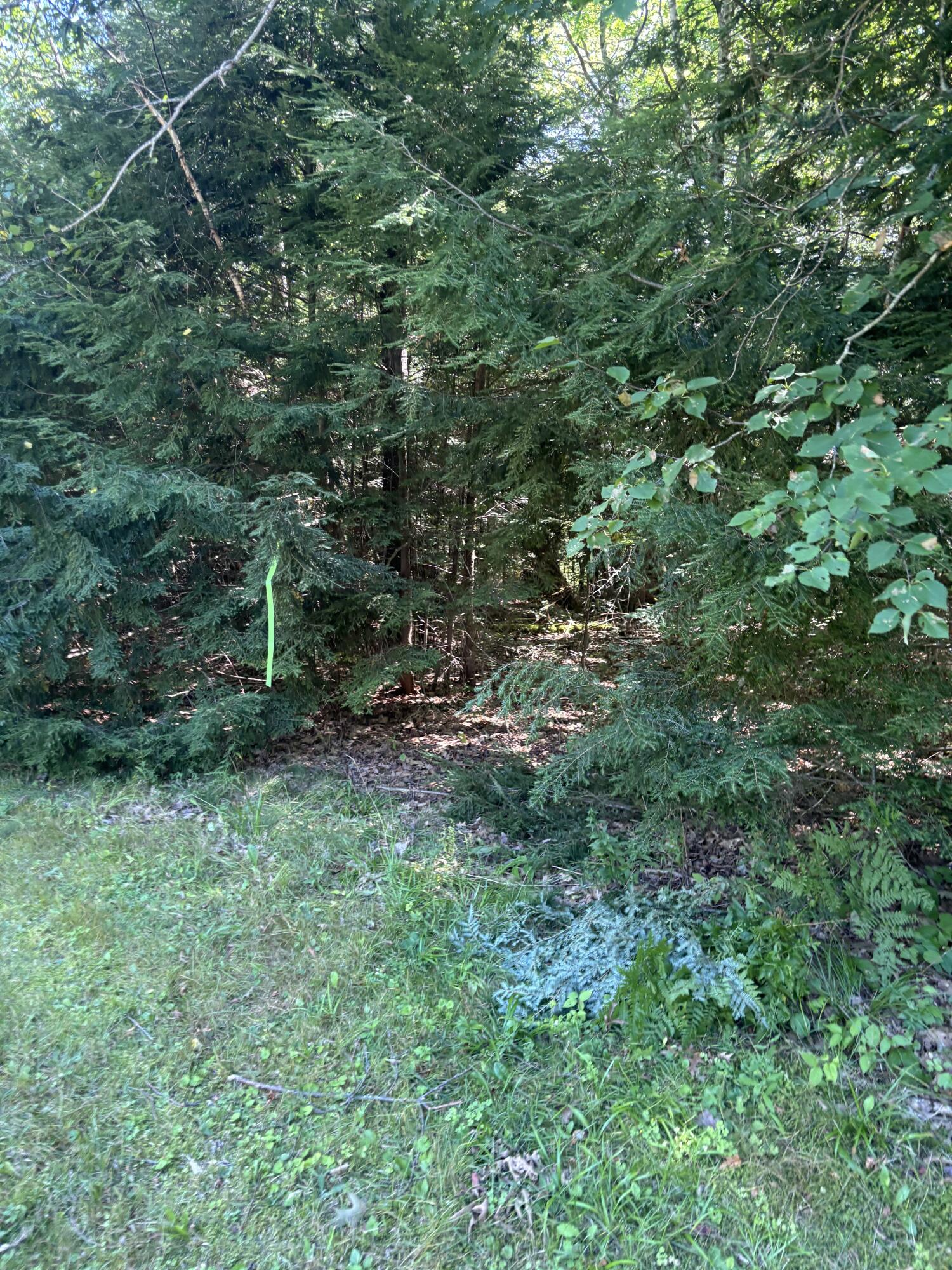 1035 Airline Road Clifton, ME 04428 - Photo 33 of 35 1000004767