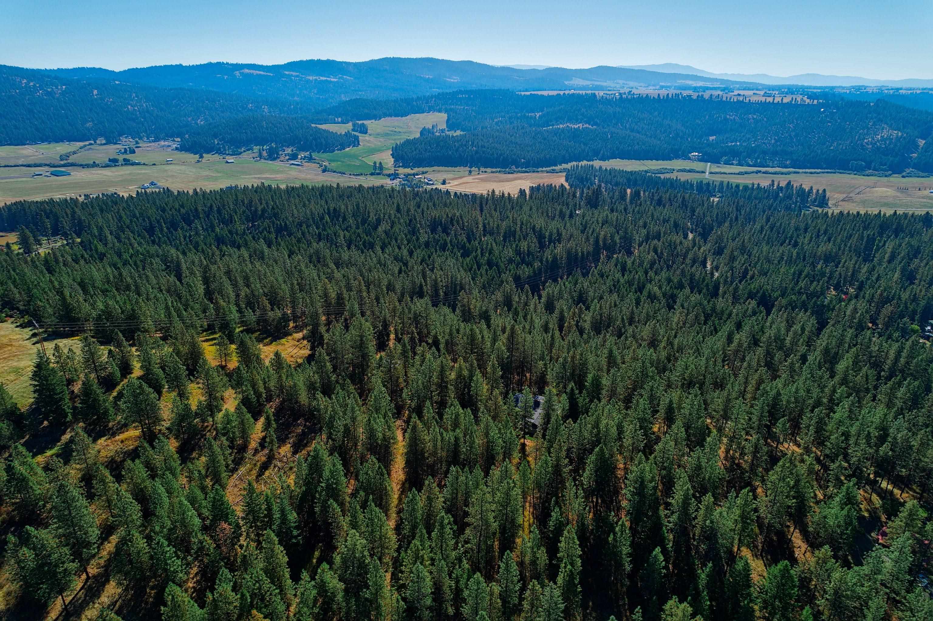 11907 East Midway Road Mead, WA 99021 - Photo 45 of 48 Gallery Image 45