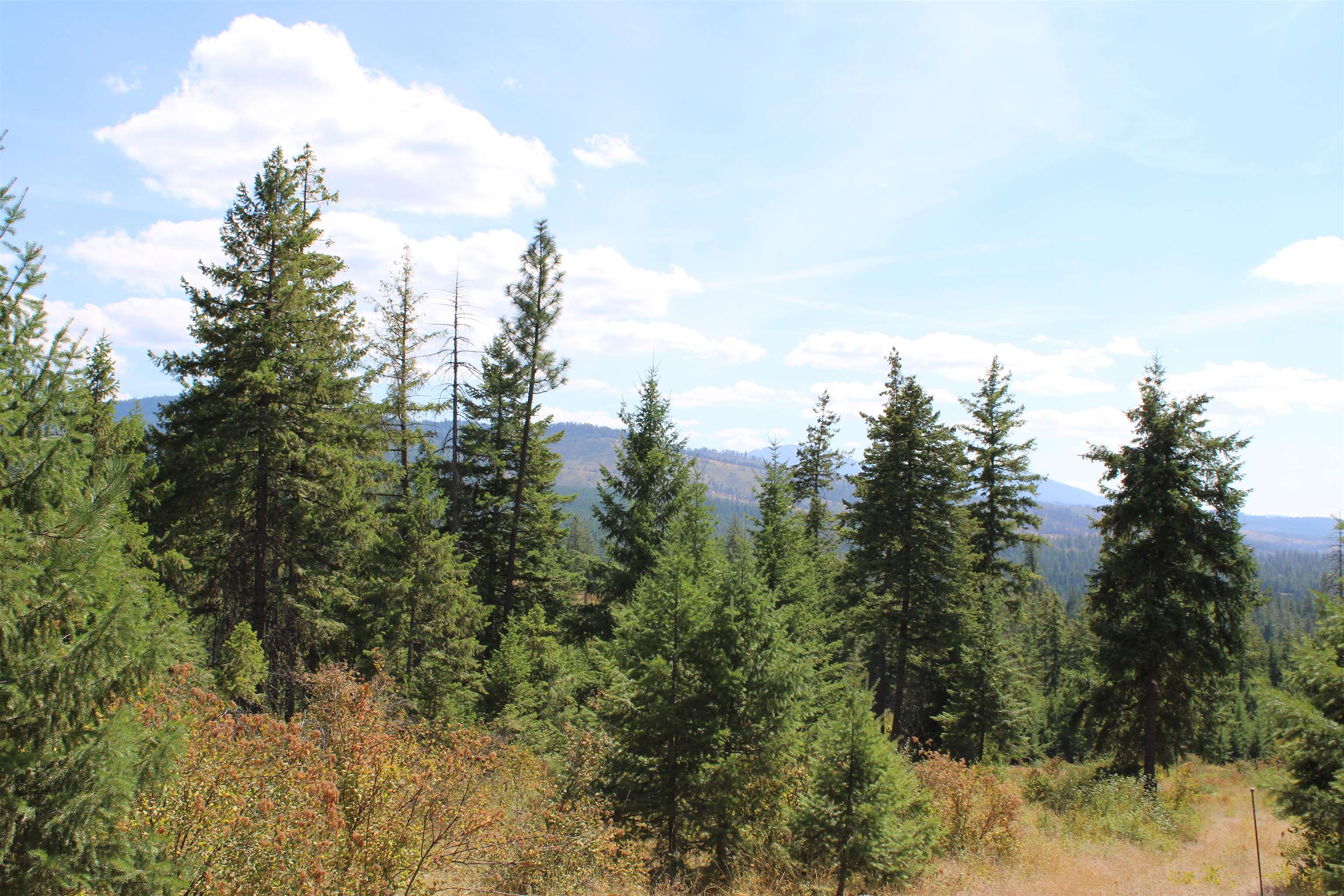 Xxx Ellery Ranch Road Elk, WA 99009 - Photo 8 of 16 Gallery Image 8