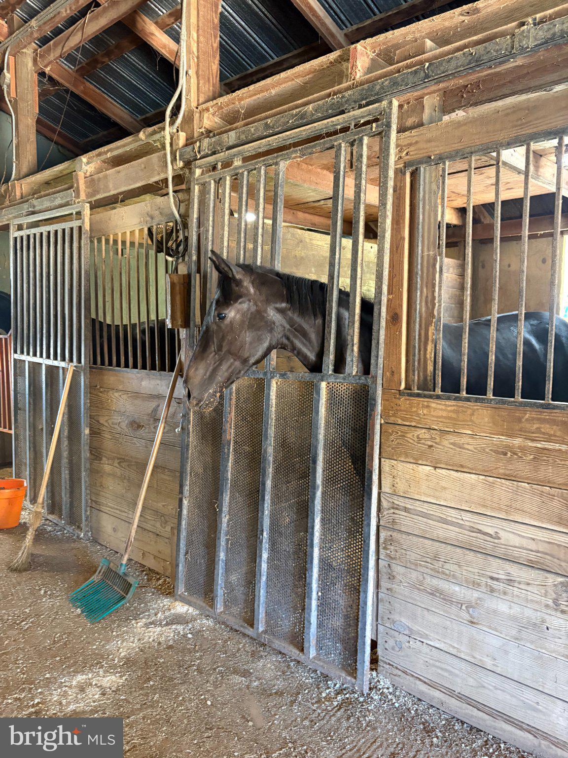 592 Willingham Road Charles Town, WV 25414 - Photo 54 of 55 a view of a porch with a door