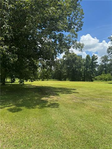 49090 Stafford Road Tickfaw, LA 70466 - Photo 3 of 8