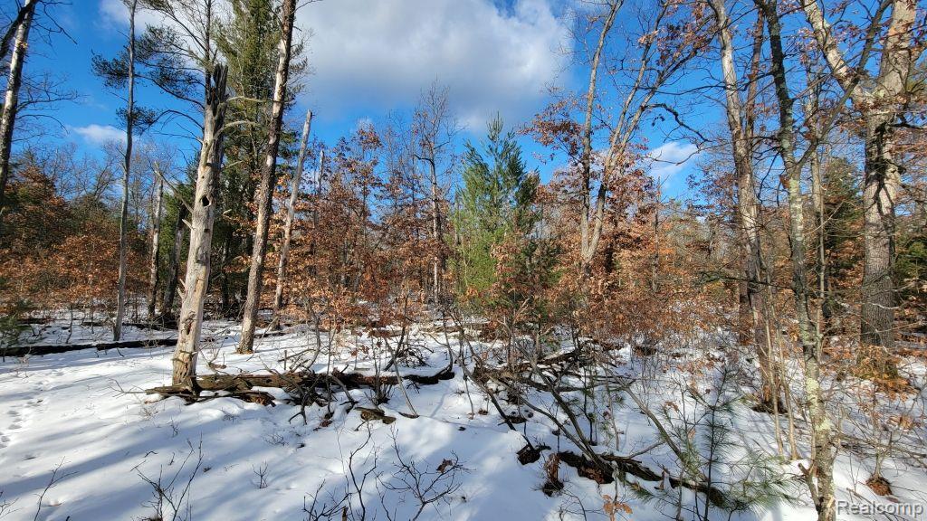 8879 9 Mile Bridge Road Manistee, MI 49660 - Photo 17 of 34