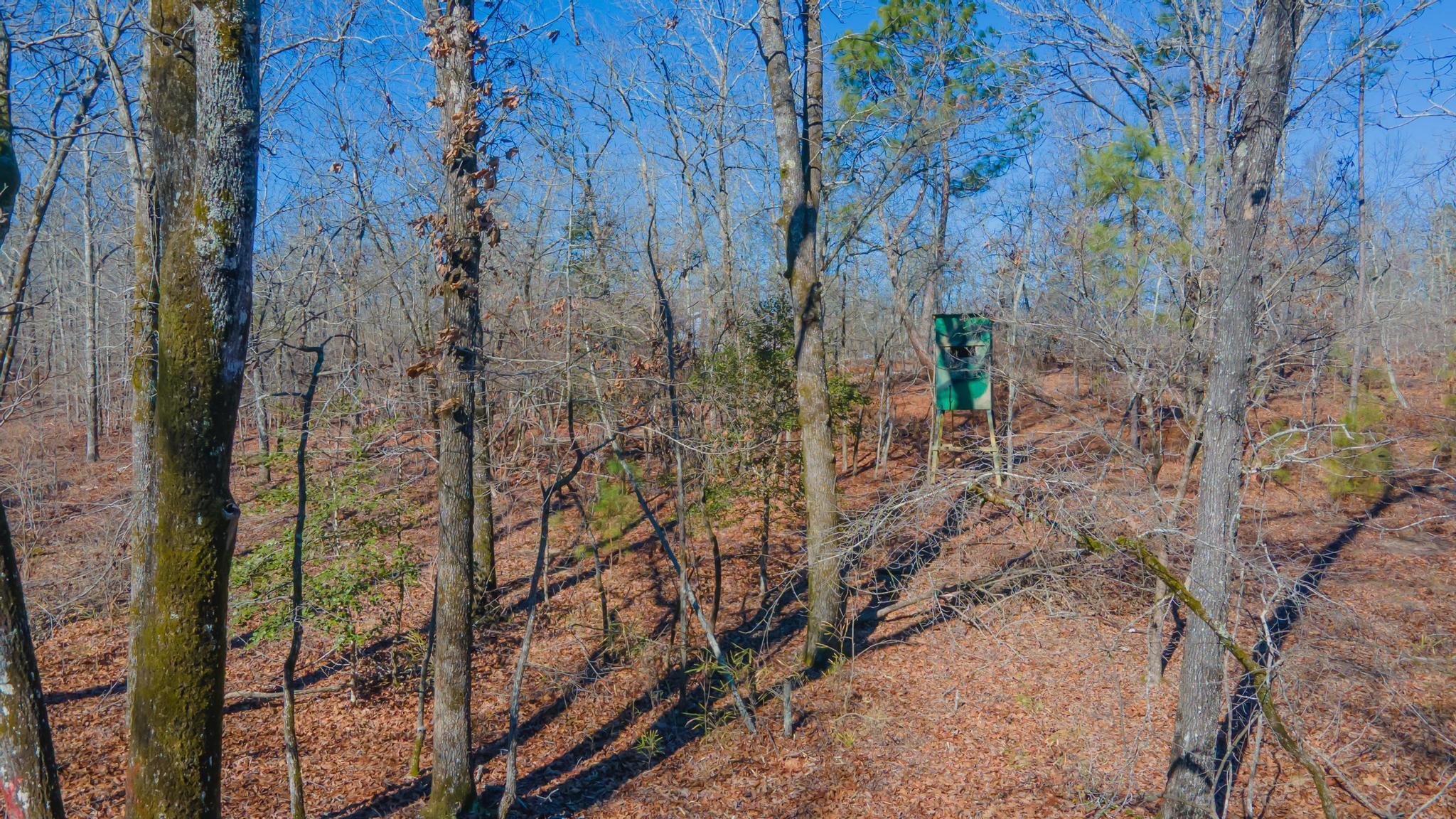 7942 Wagener Road Salley, SC 29137 - Photo 23 of 25