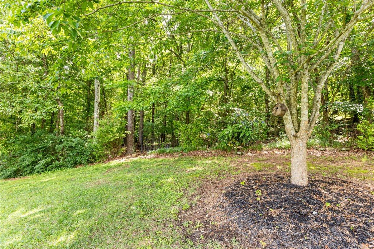 690 Dailey Hill Road Ringgold, GA 30736 - Photo 38 of 41 38-IMG_1306