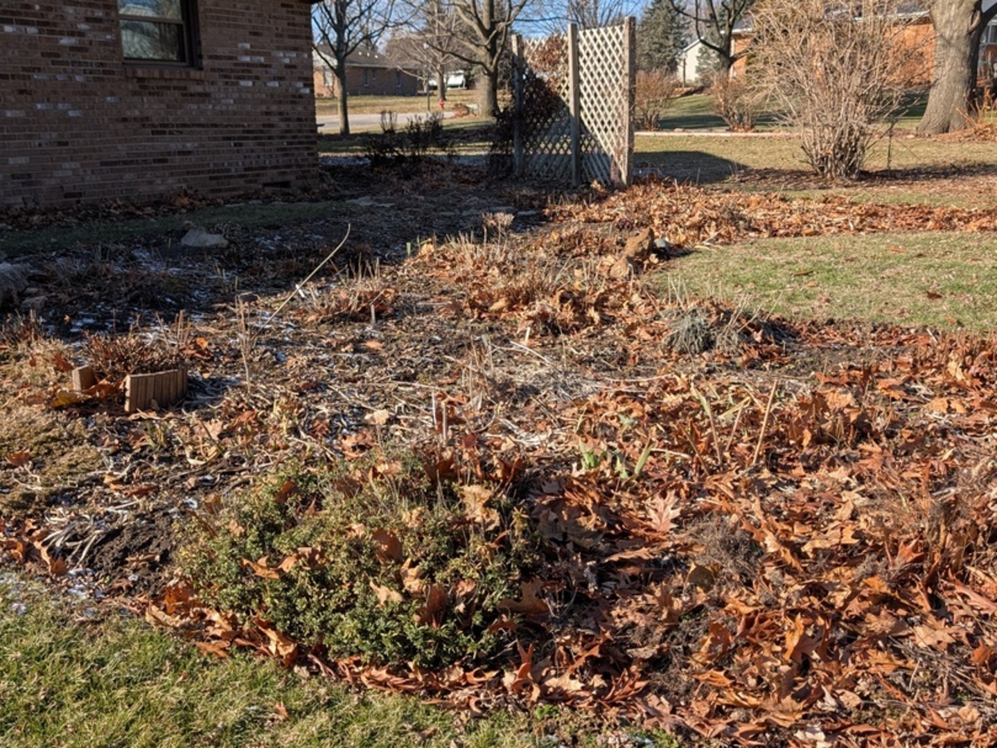 112 Wright Drive Utica, IL 61373 - Photo 26 of 30 a view of a yard with large trees