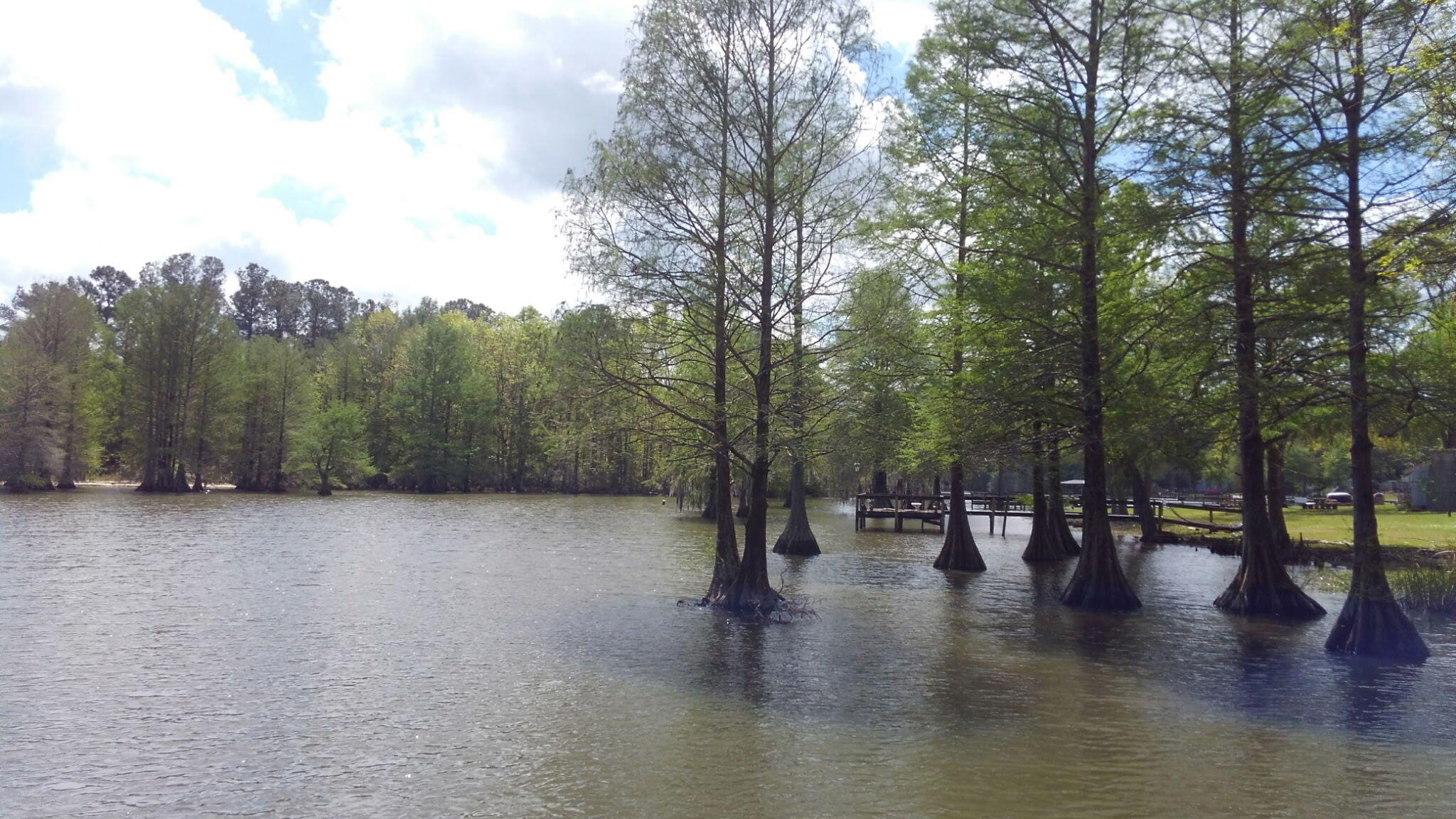 138 State Rd S-38-1754 Eutawville, SC 29048 - Photo 76 of 77