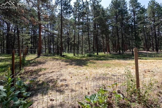 19065 Deerfield Road Monument, CO 80132 - Photo 35 of 49 Fenced garden area