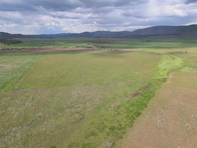 a living room with furniture fireplace and a large window