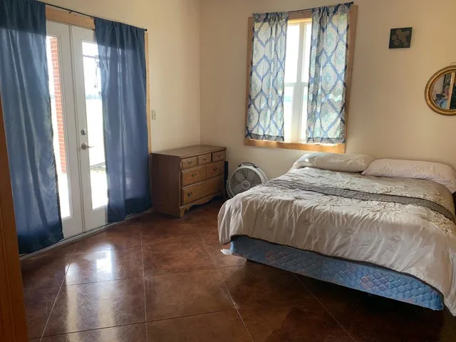 a view of a garden with plants