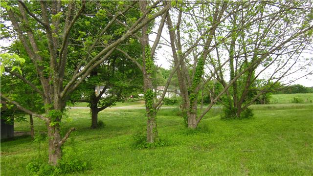 773 New Deal Potts Road Cottontown, TN 37048 - Photo 6 of 11