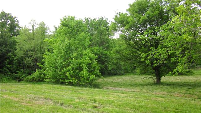 773 New Deal Potts Road Cottontown, TN 37048 - Photo 7 of 11