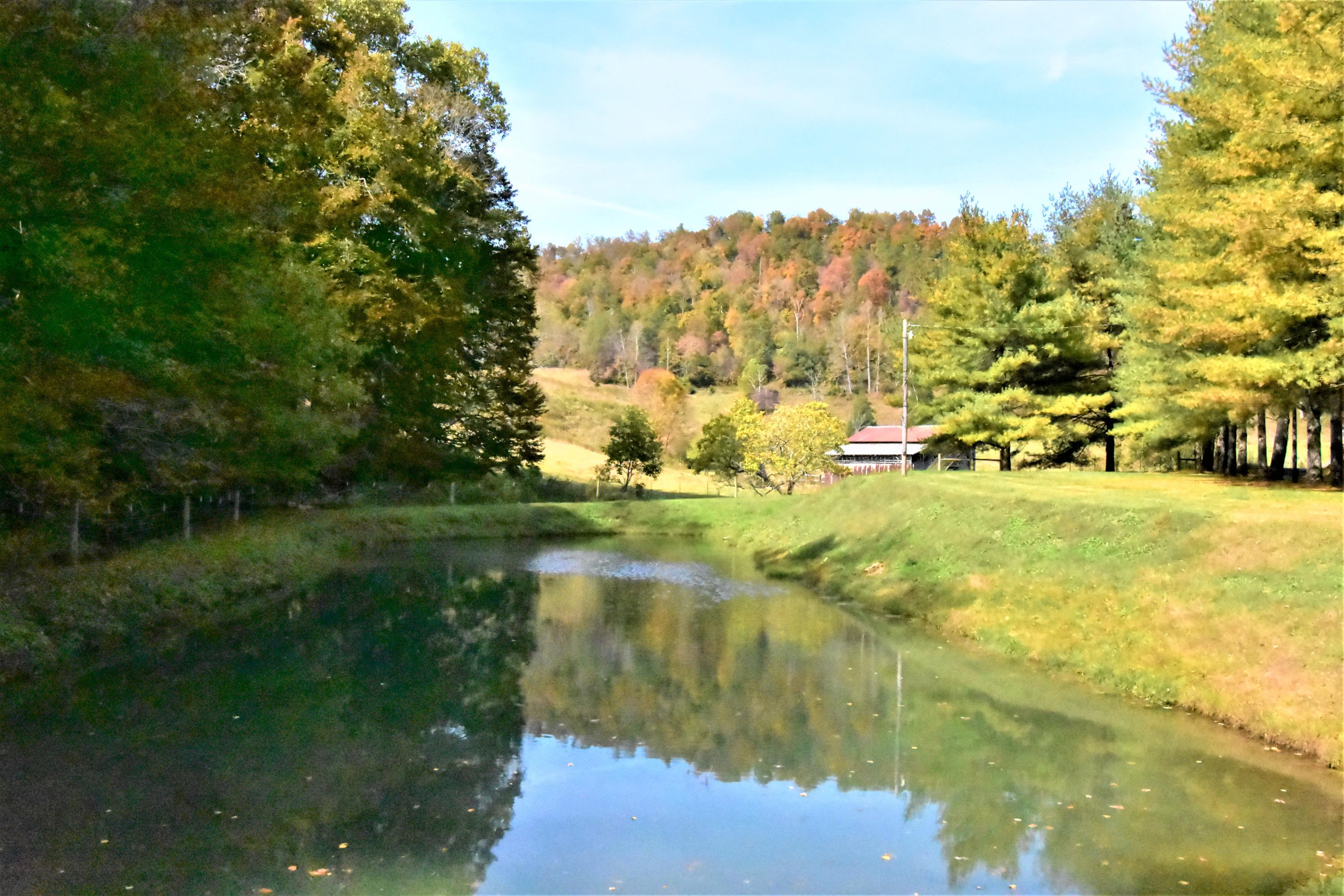 0 Sinks Road Sneedville, TN 37869 - Photo 1 of 37 DSC_1531