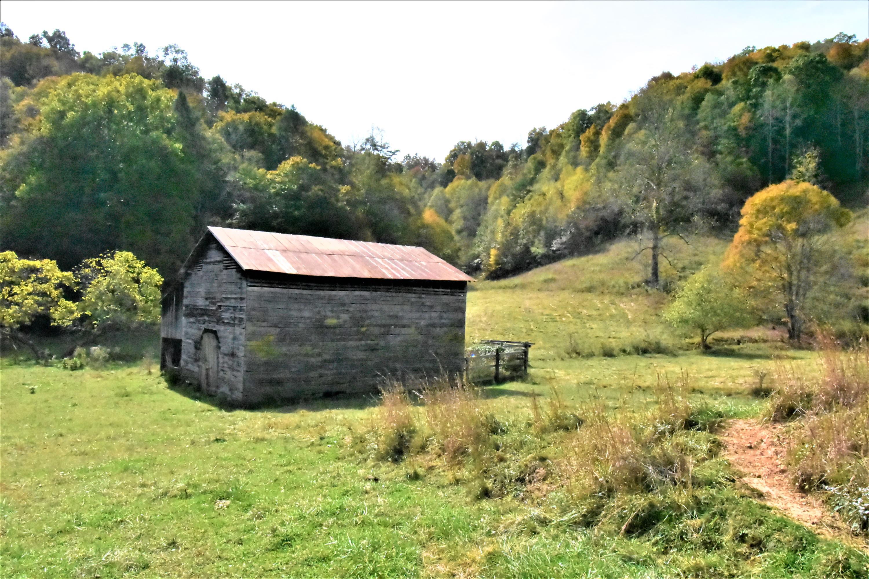 0 Sinks Road Sneedville, TN 37869 - Photo 11 of 37 DSC_1540