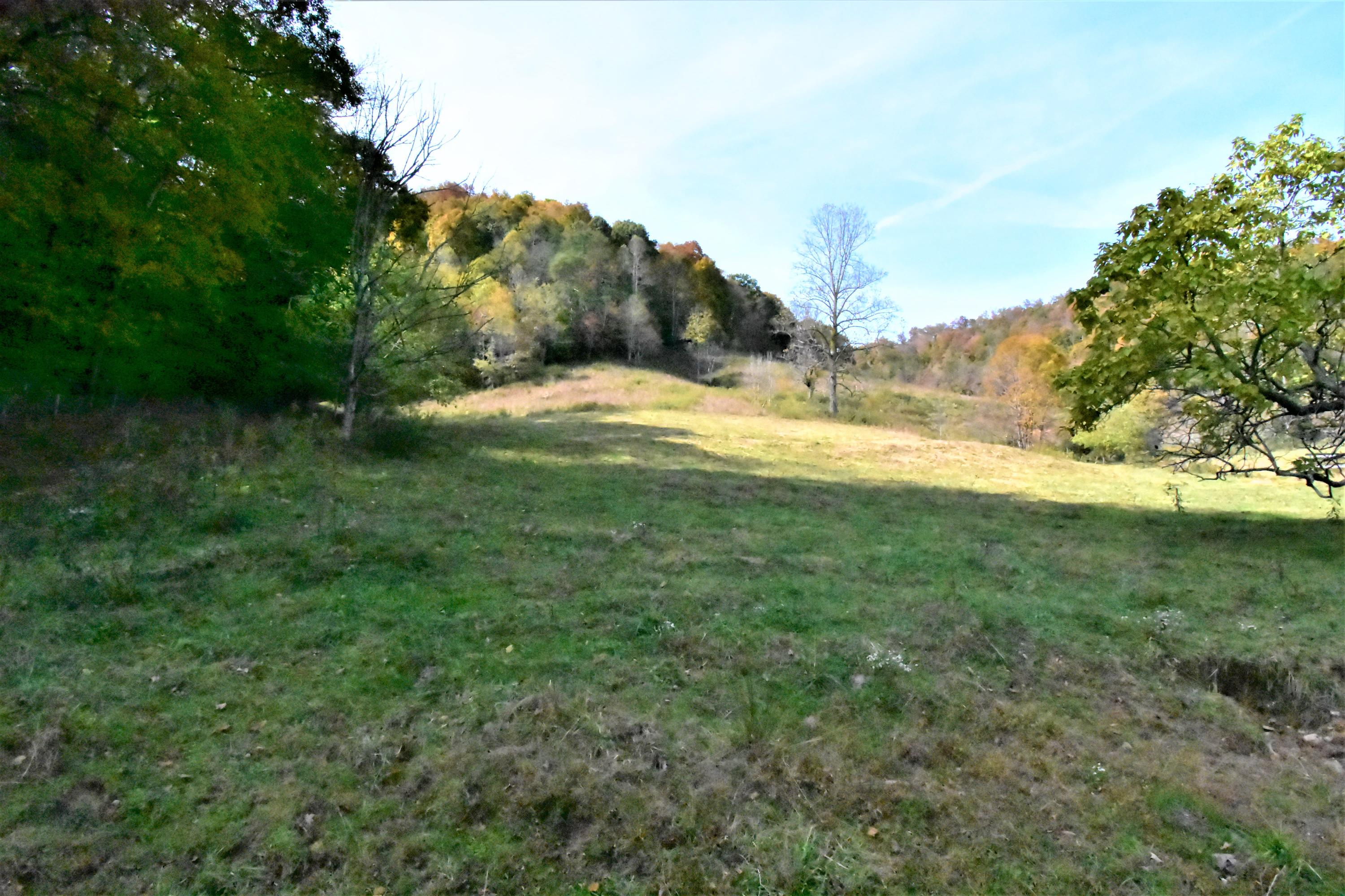 0 Sinks Road Sneedville, TN 37869 - Photo 13 of 37 DSC_1549