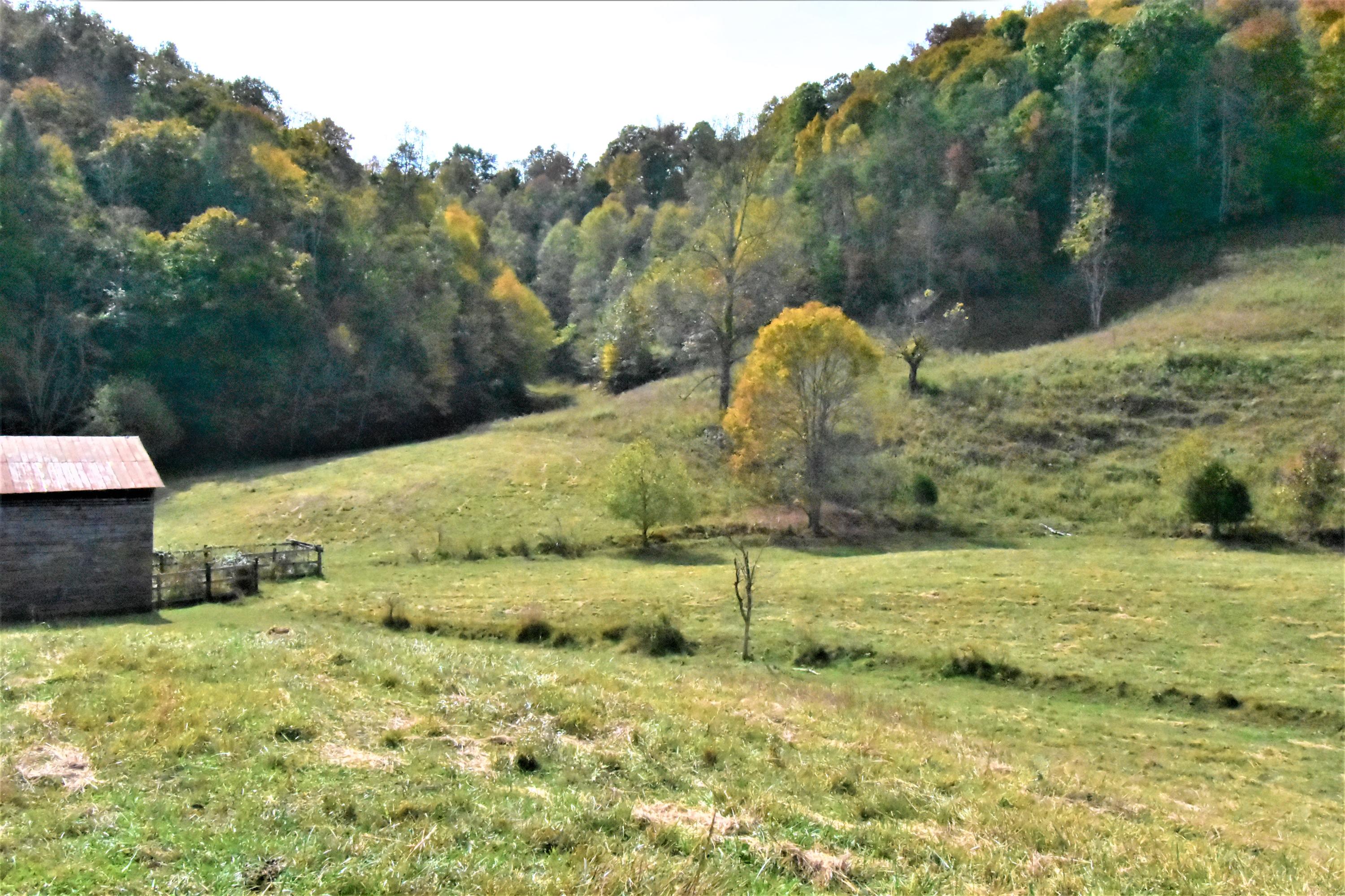 0 Sinks Road Sneedville, TN 37869 - Photo 17 of 37 DSC_1558