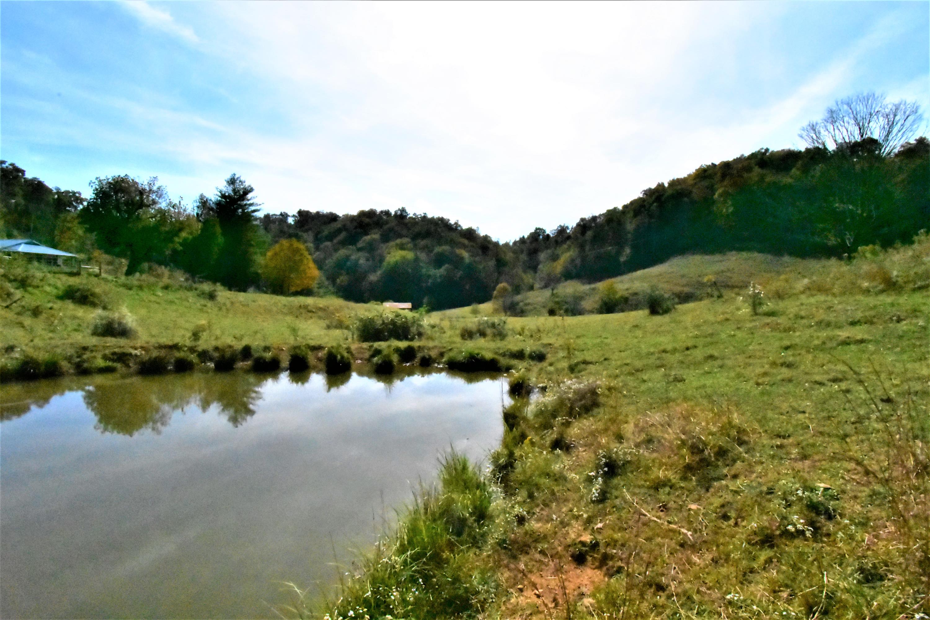 0 Sinks Road Sneedville, TN 37869 - Photo 21 of 37 DSC_1576