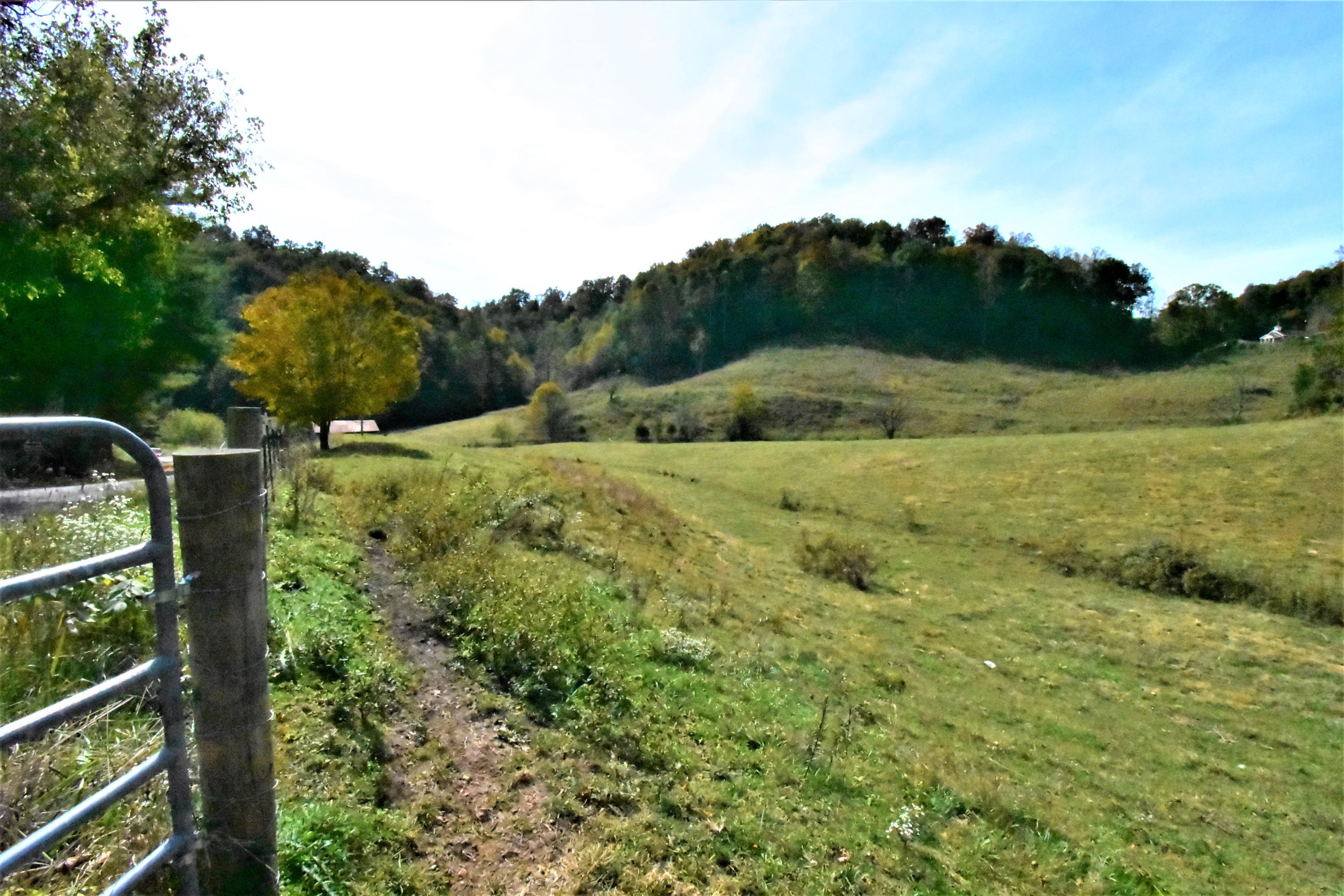 0 Sinks Road Sneedville, TN 37869 - Photo 23 of 37 DSC_1589