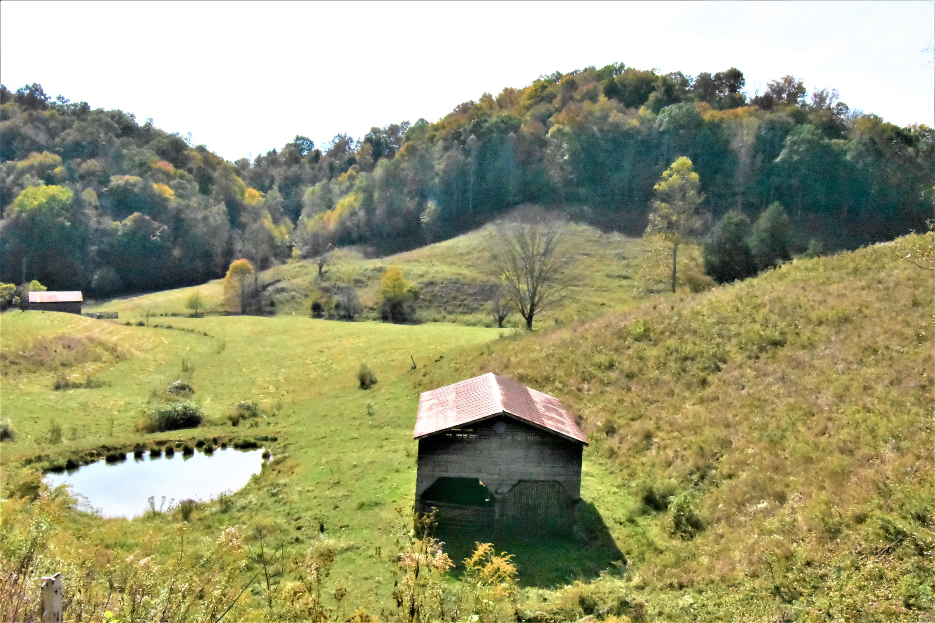 0 Sinks Road Sneedville, TN 37869 - Photo 24 of 37 DSC_1593