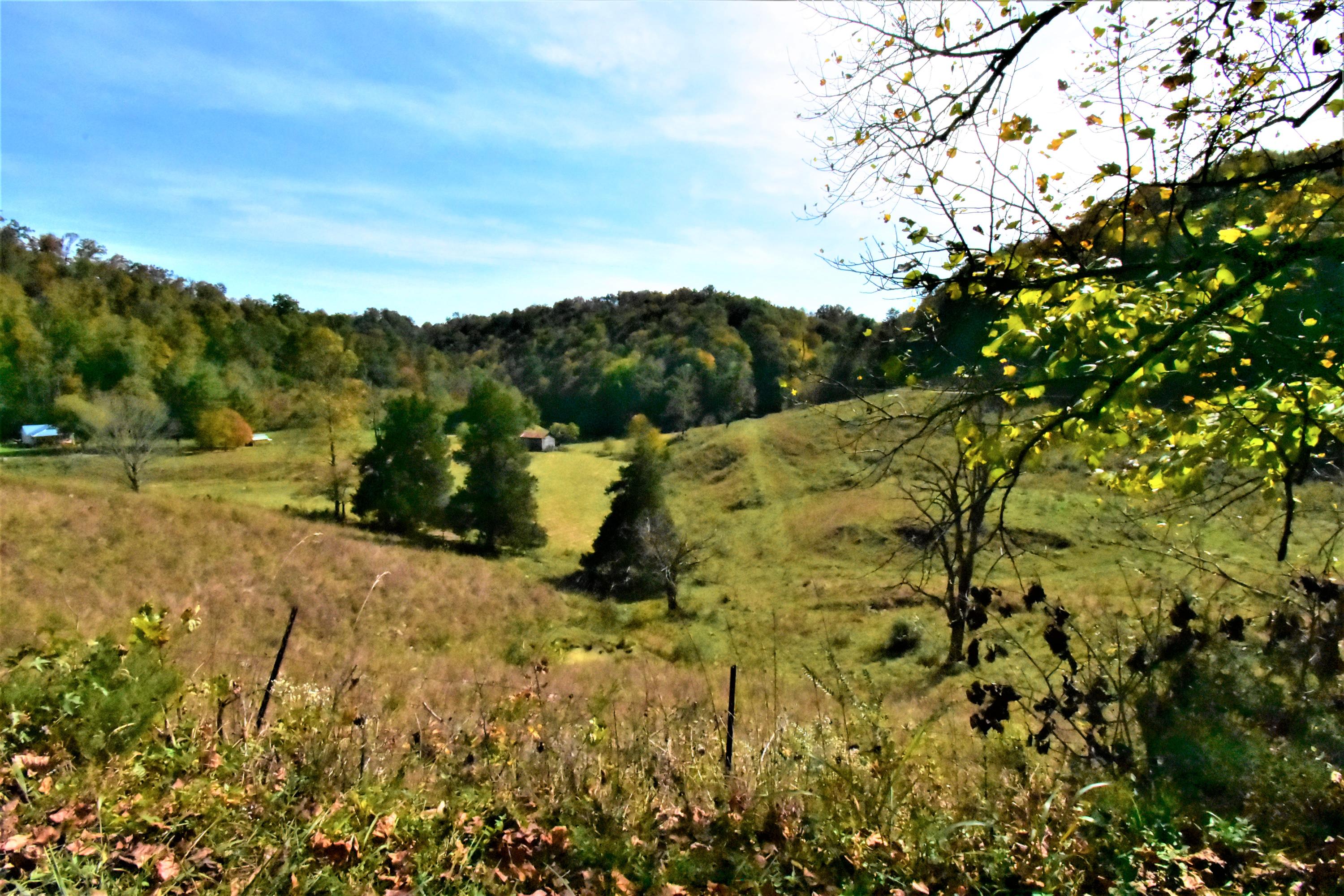 0 Sinks Road Sneedville, TN 37869 - Photo 27 of 37 DSC_1600