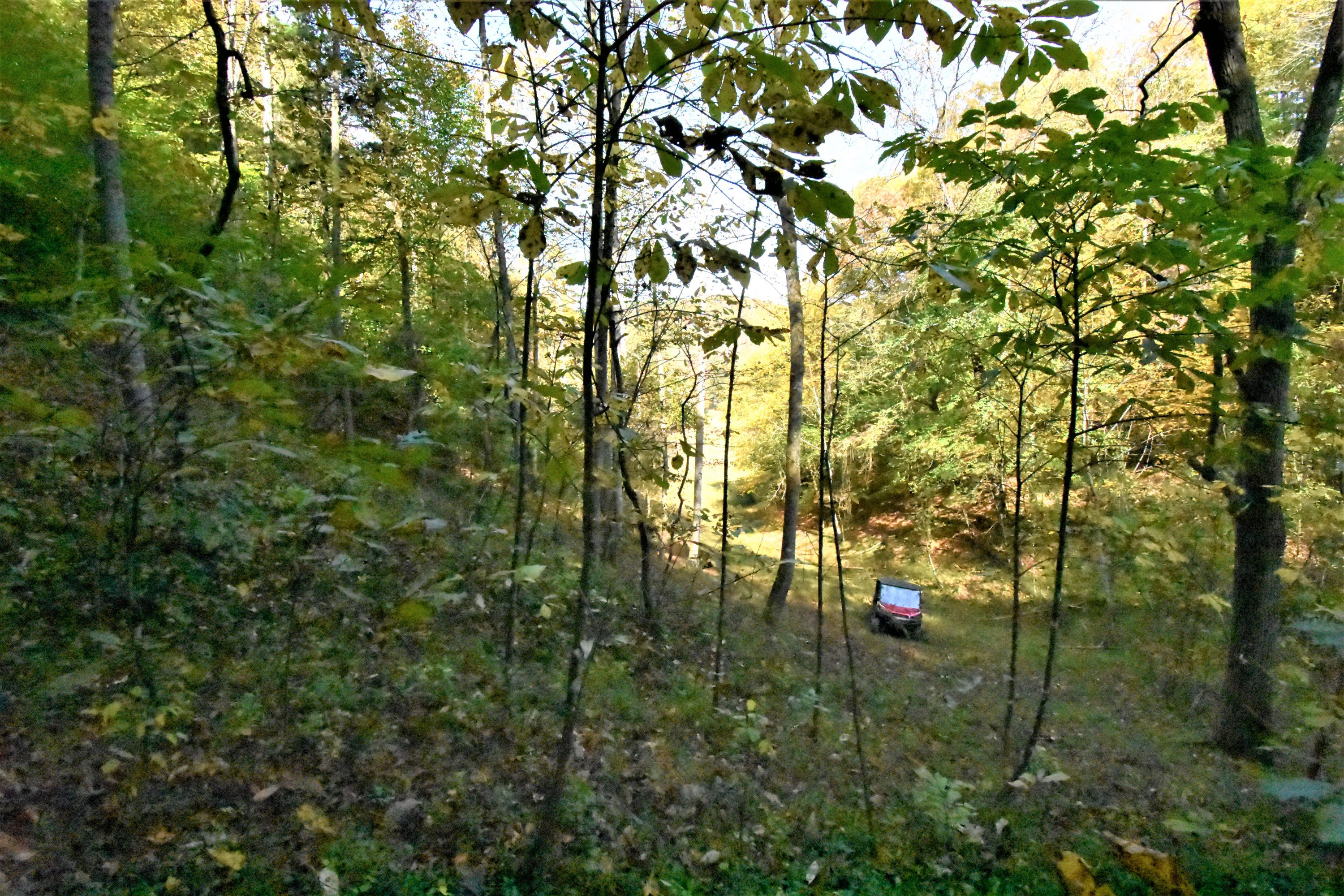 0 Sinks Road Sneedville, TN 37869 - Photo 30 of 37 DSC_1611