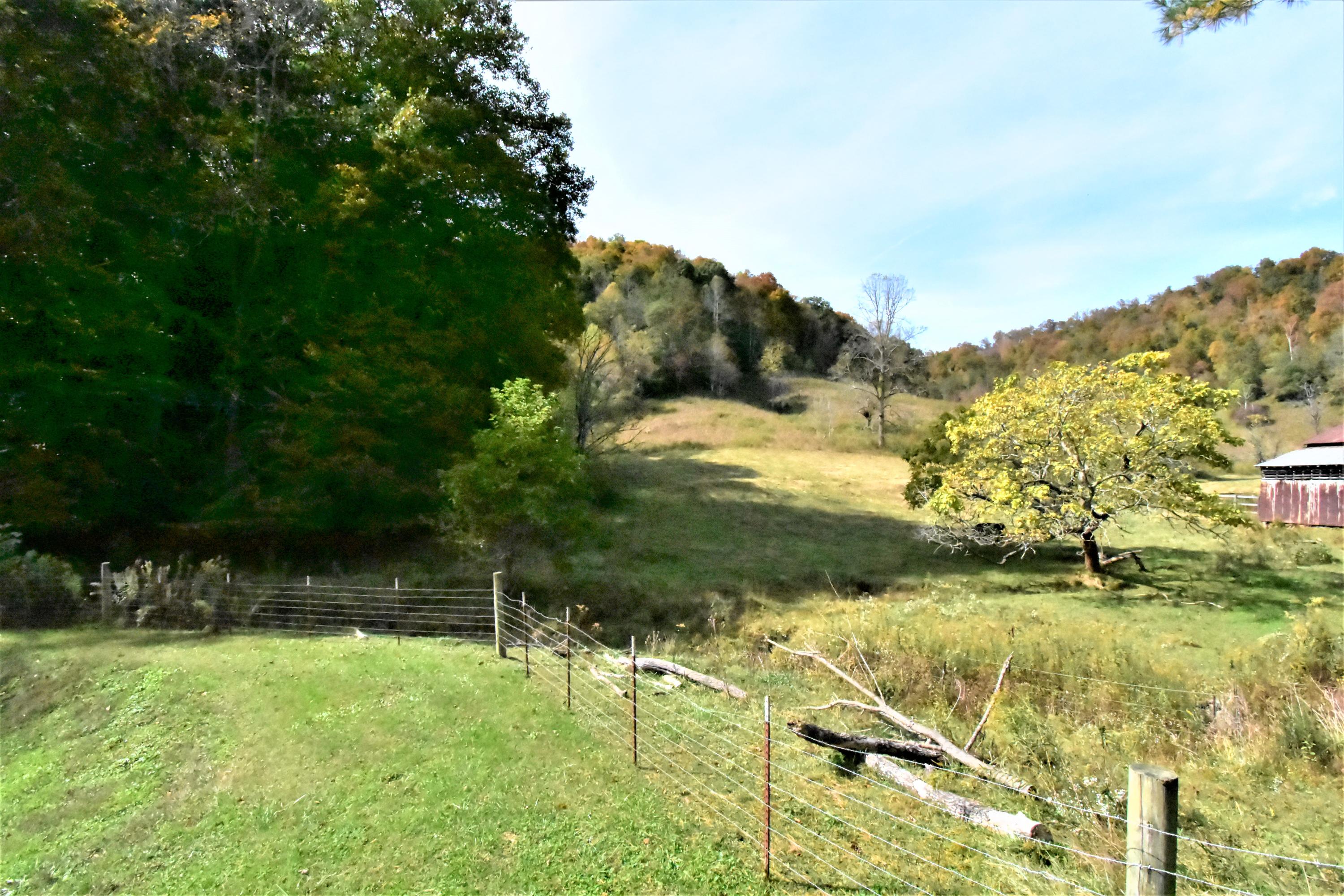 0 Sinks Road Sneedville, TN 37869 - Photo 4 of 37 DSC_1516