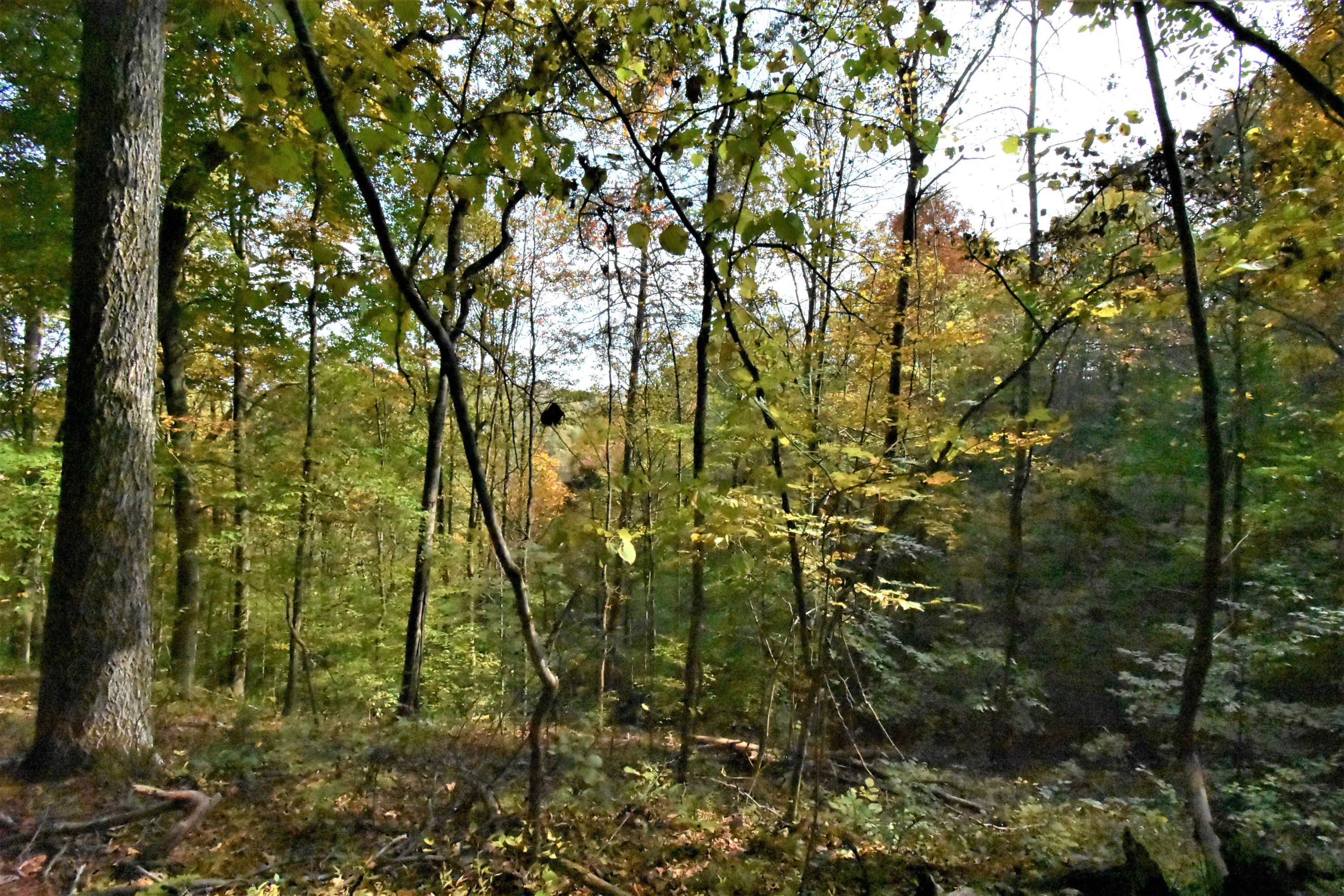 0 Sinks Road Sneedville, TN 37869 - Photo 34 of 37 DSC_1623