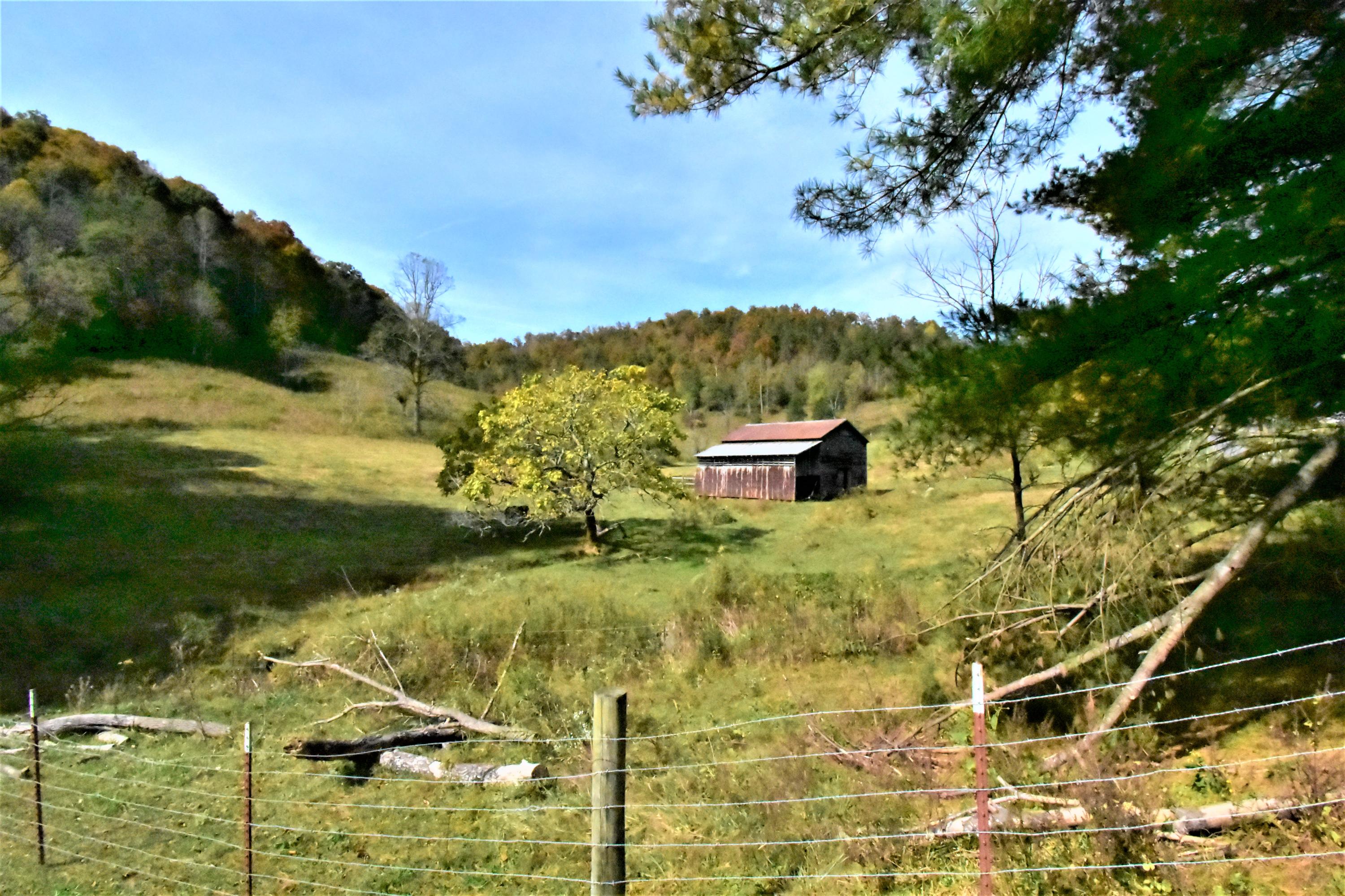 0 Sinks Road Sneedville, TN 37869 - Photo 5 of 37 DSC_1518