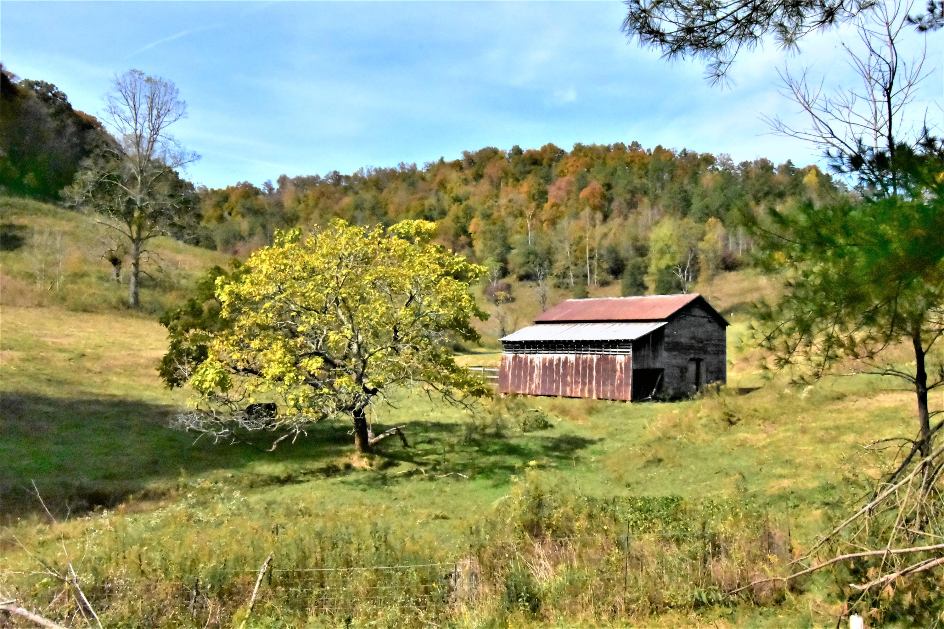 0 Sinks Road Sneedville, TN 37869 - Photo 6 of 37 DSC_1519