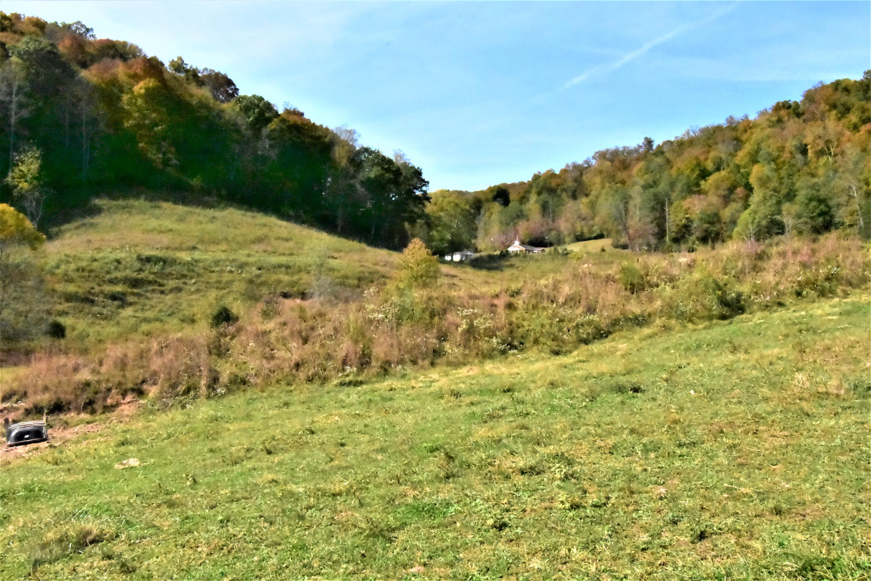 0 Sinks Road Sneedville, TN 37869 - Photo 10 of 37 DSC_1539