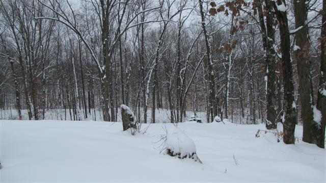 4896 Killion Mill Road Loogootee, IN 47553 - Photo 10 of 12 Gallery Image 10