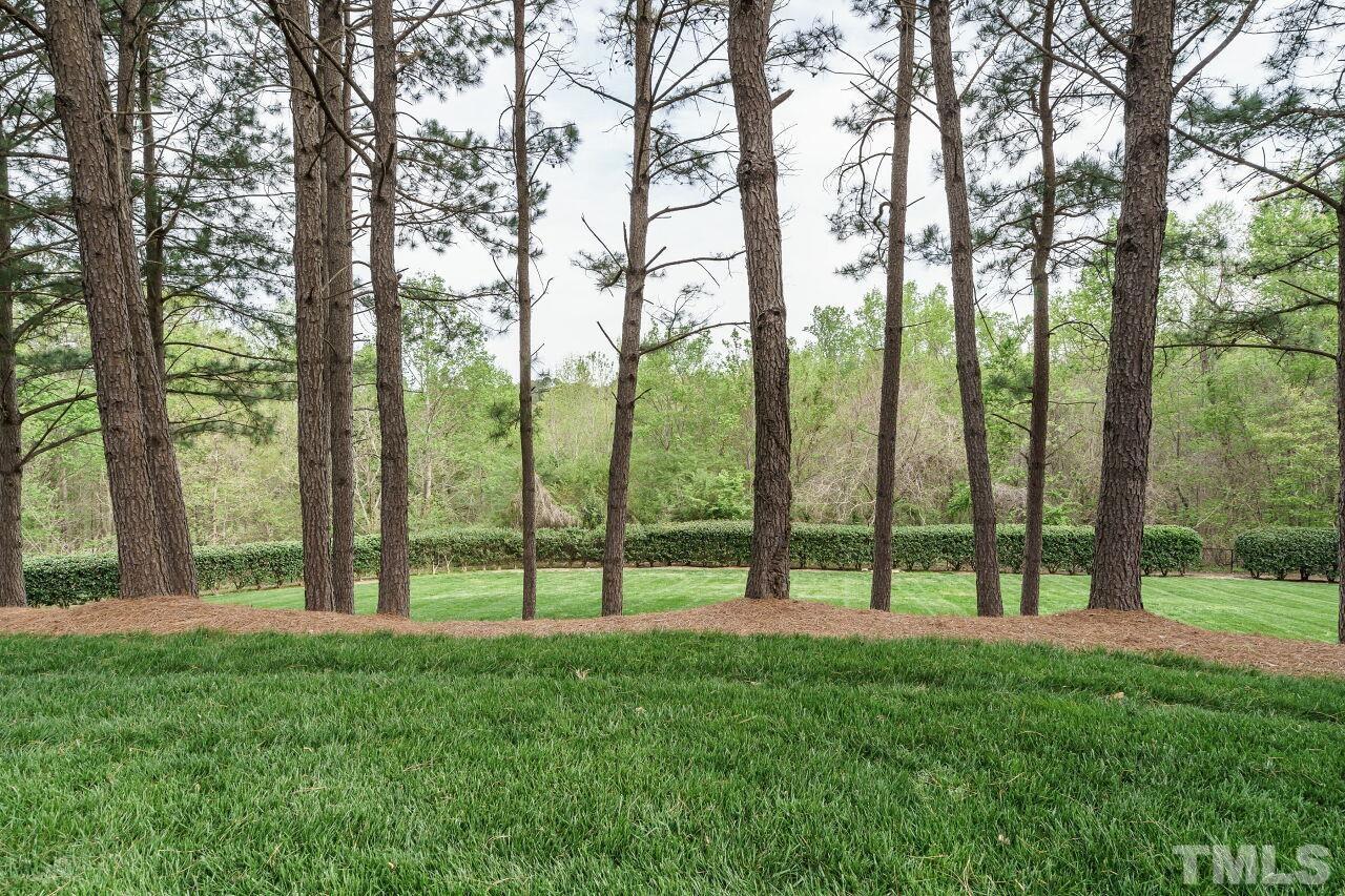 6903 Middleboro Drive Raleigh, NC 27612 - Photo 25 of 26 a view of trees with yard in the background
