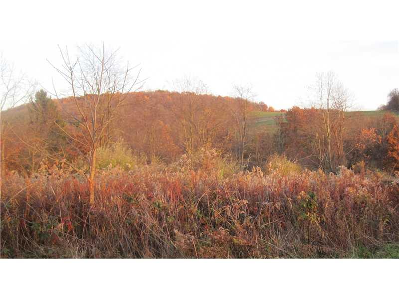 Ullom Road Washington, PA 15301 - Photo 2 of 2 Land/Lot.