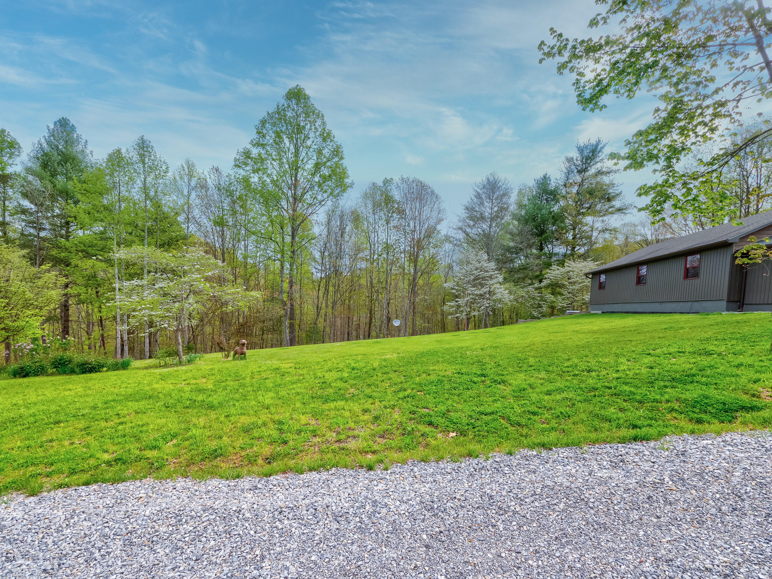 7646 Miller Cove Road Catawba, VA 24070 - Photo 27 of 44 34_7646_Millers_Cove_Road34_mls