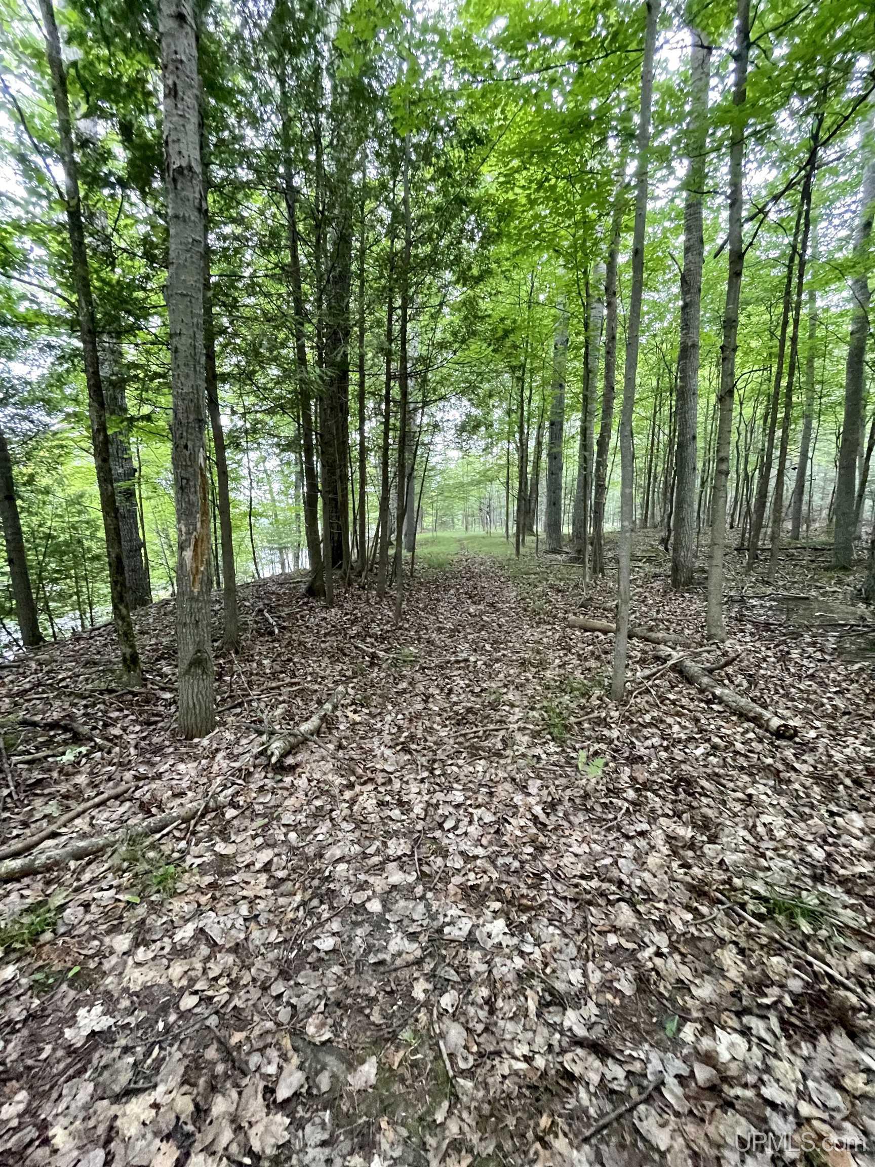 23.5 Rd Gladstone Mi 49837 Road Gladstone, MI 49837 - Photo 20 of 45