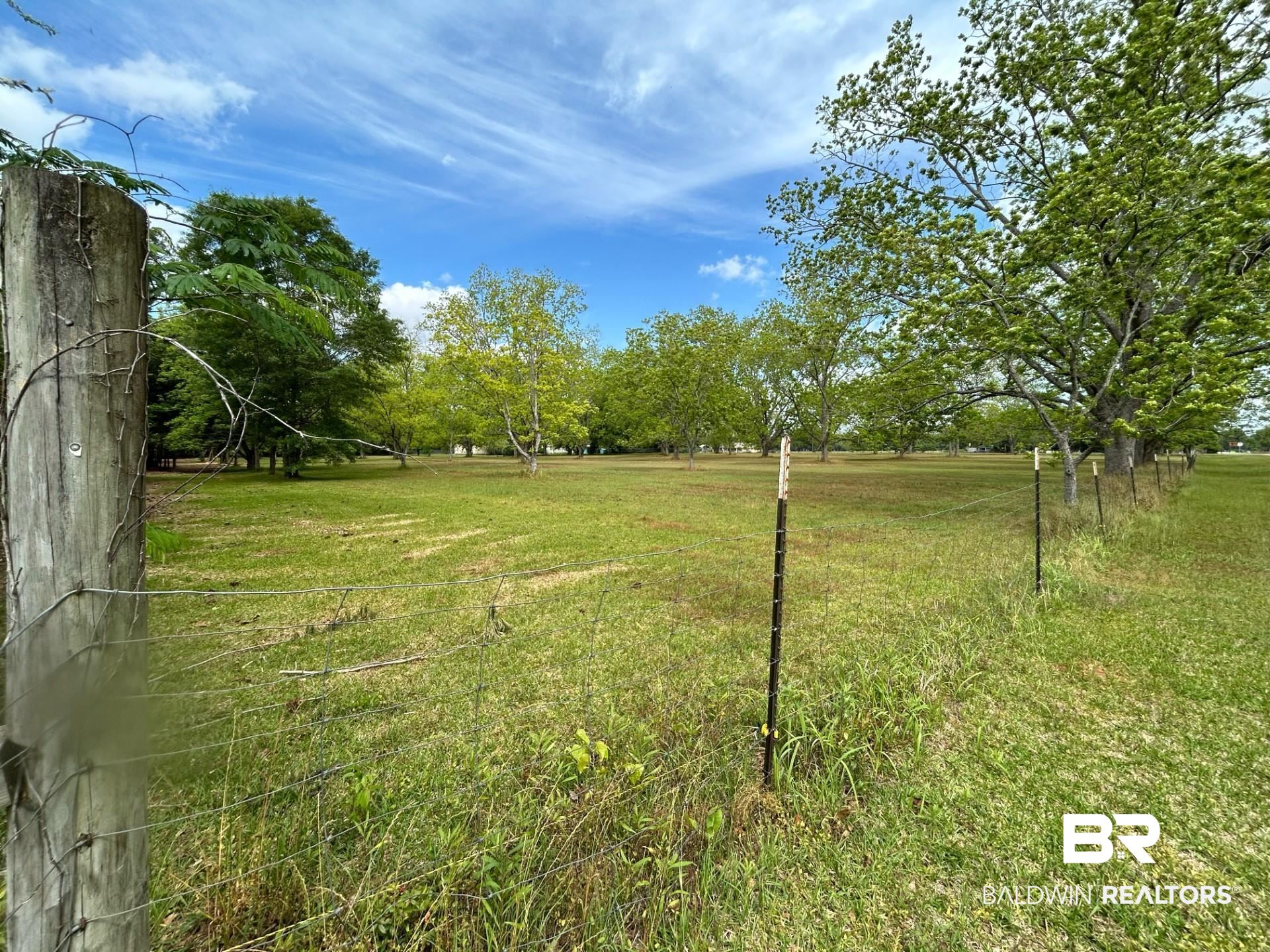 11351 North Jim McNeil Loop Road Grand Bay, AL 36541 - Photo 2 of 3