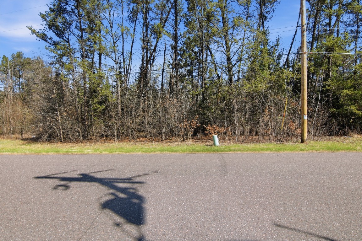 0 Lot 4 Pinewood Chetek, WI 54728 - Photo 4 of 7