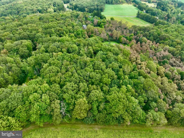 a view of a green field
