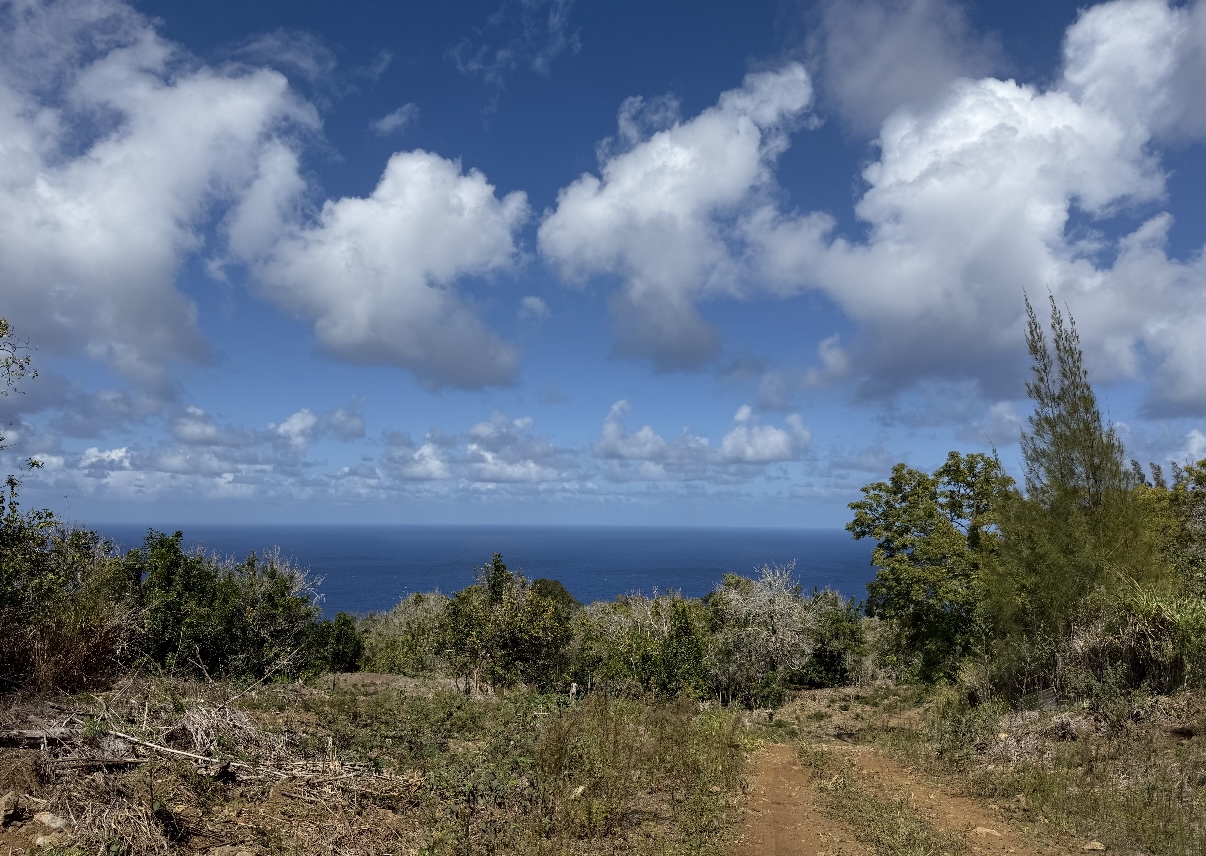 47-4536 Lot B-1-b-1 Honokaa Waipio Road Honokaa, HI 96727 - Photo 4 of 7