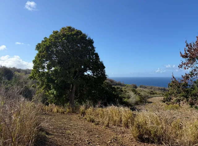 a view of lake and mountain