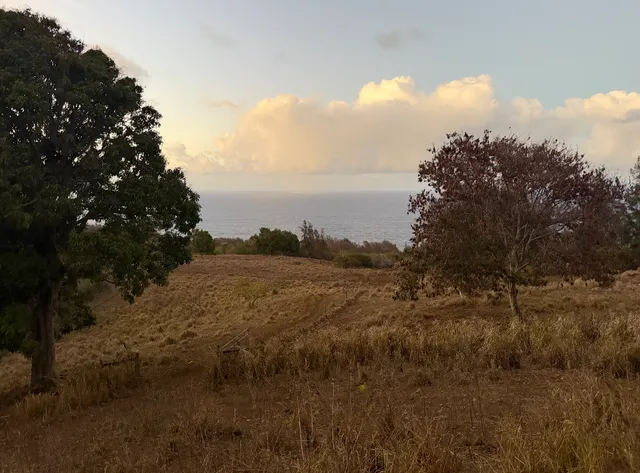 $999,000 | 47-4536 Lot B-1-b-1 Honokaa Waipio Road, Honokaa, HI 96727