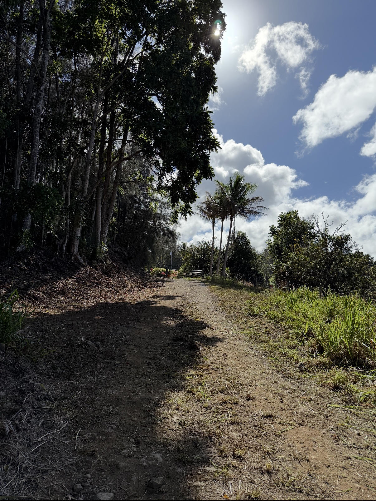 47-4536 Lot B-1-b-1 Honokaa Waipio Road Honokaa, HI 96727 - Photo 7 of 7