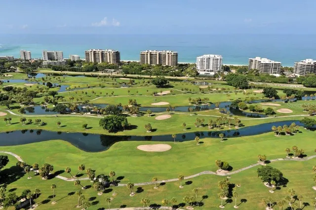 a view of a city with palm trees