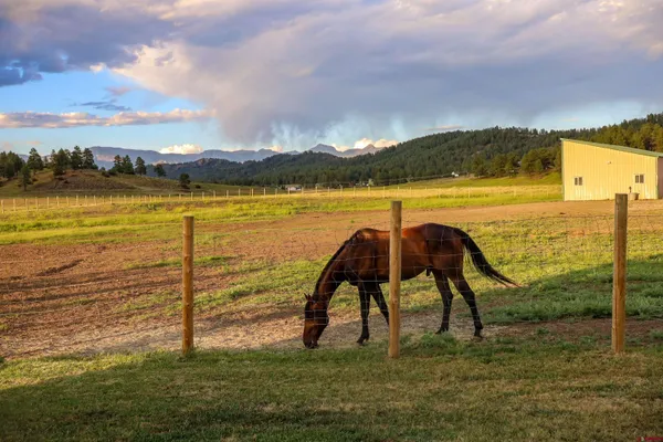 $895,000 | 60 Clover Lane, Pagosa Springs, CO 81147