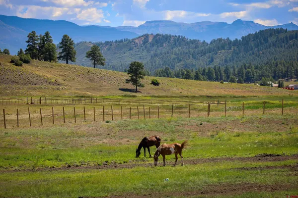 $895,000 | 60 Clover Lane, Pagosa Springs, CO 81147