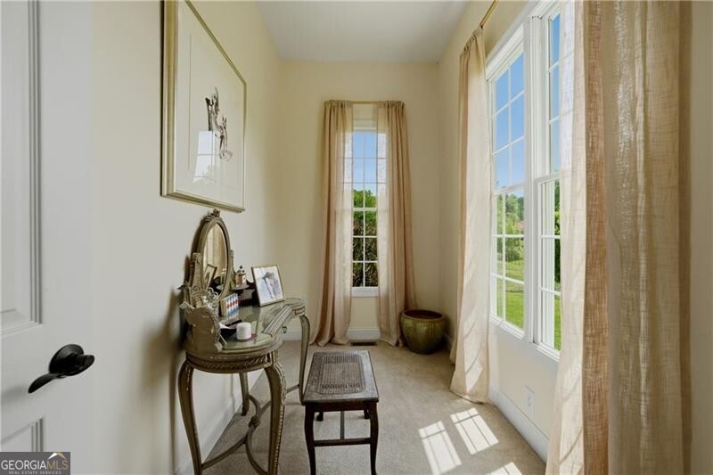 619 Hamp Mill Road Dahlonega, GA 30533 - Photo 51 of 118 bonus room in primary suite