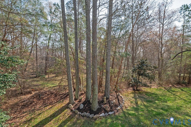 11625 Explorer Drive Midlothian, VA 23114 - Photo 17 of 56 View of rear yard