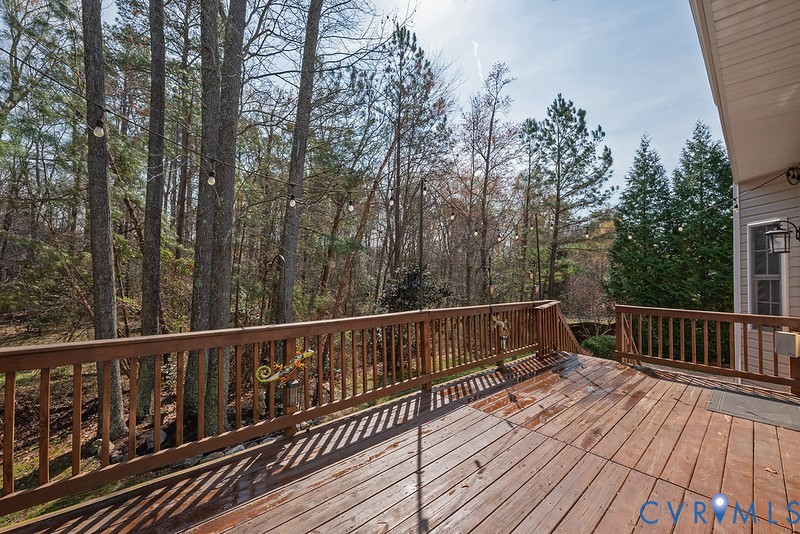 11625 Explorer Drive Midlothian, VA 23114 - Photo 35 of 56 View of rear yard.. 24X10