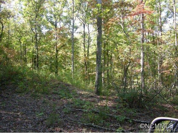 1617 Womack Road, Unit 16 17 Mill Spring, NC 28756 - Photo 1 of 2